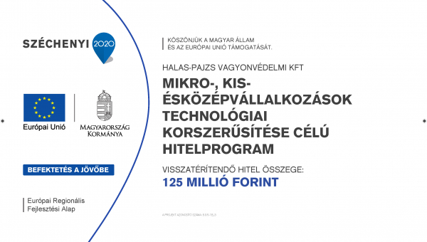 Vállalkozás hitelprogram